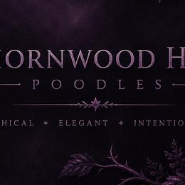 Poodles from ThornWood Hill Poodles