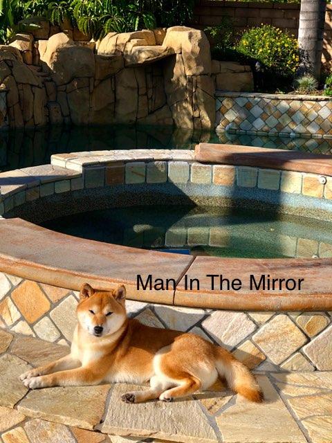 Mirror