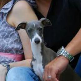 Roman - Italian Greyhound