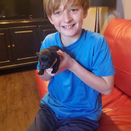 Tam - Black female Scottish Terrier puppy in Crossville, Tennessee from Cavern Kennels