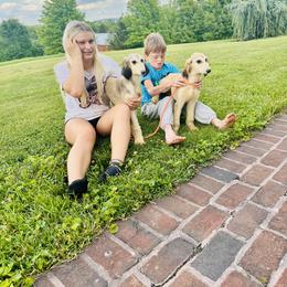 Domino female 2 - Blue and cream female Afghan Hound puppy in Carlisle, Pennsylvania from Winterberry Afghan Hounds