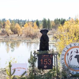 Labrador Retrievers from FowlMasters Outfitters & Kennels