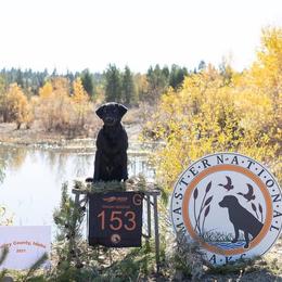 Labrador Retrievers from FowlMasters Outfitters & Kennels