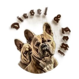 French Bulldogs from Fancy Pig Frenchies