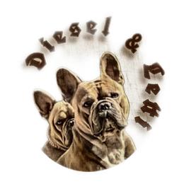 French Bulldogs from Fancy Pig Frenchies