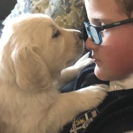 Golden Retriever Puppies from Brightside Goldens