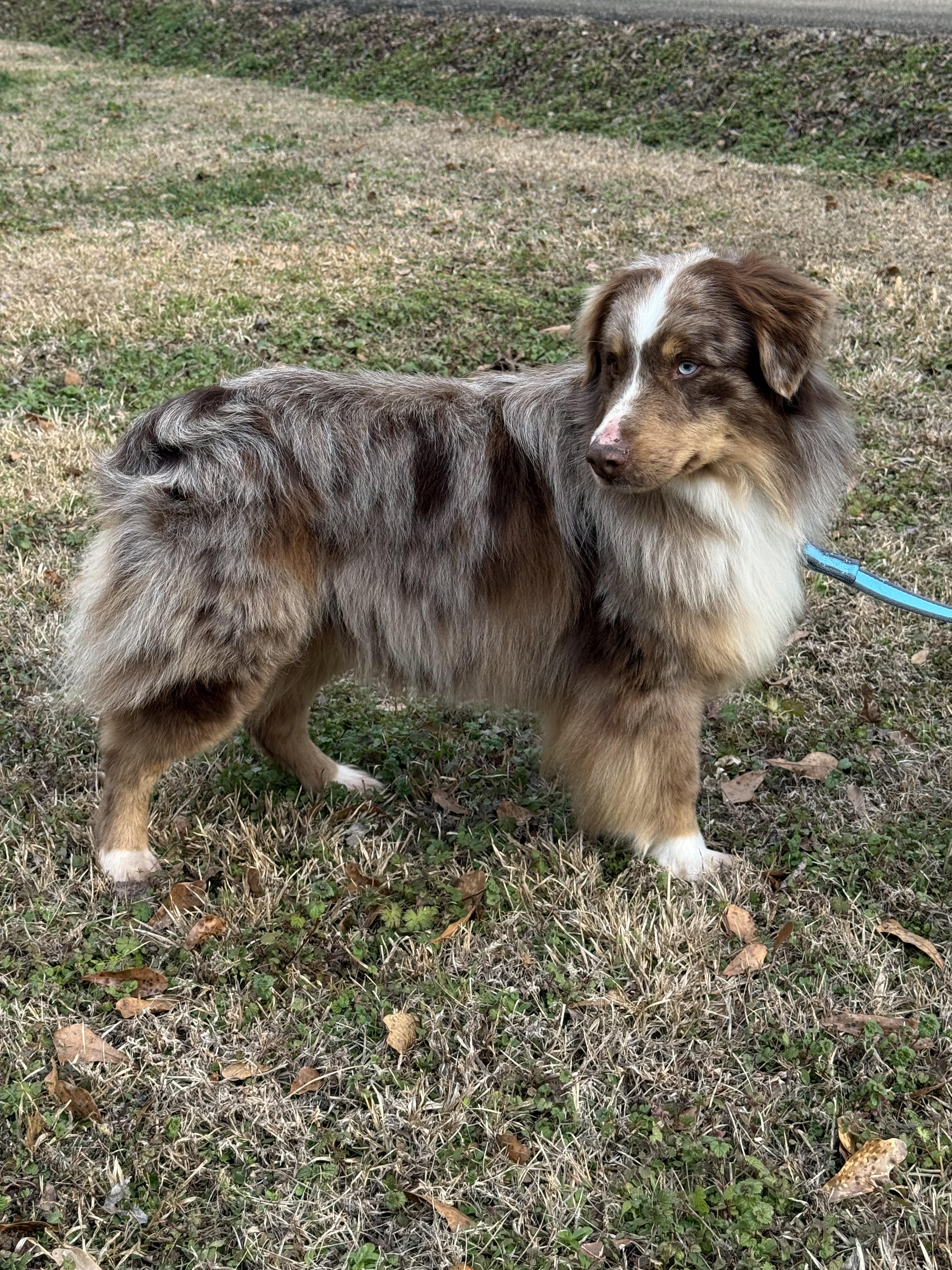 Jax