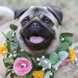 TWIGS - Pug