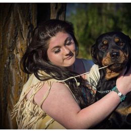 Rottweiler All Grown Up from Cascade Rottweilers of the Pacific Northwest
