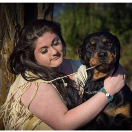 Rottweiler All Grown Up from Cascade Rottweilers of the Pacific Northwest