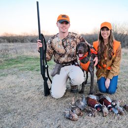 German Shorthaired Pointers from Lonestar Shorthairs