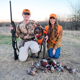 German Shorthaired Pointers from Lonestar Shorthairs