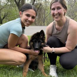 Harper Trek Starry Night - Black and red female German Shepherd puppy in Purcellville, Virginia from Starry Night German Shepherd Dogs