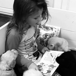 Goldendoodle Puppies from Cooley Doodles