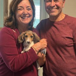 Grace - Piebald female Dachshund puppy in Temecula, California from Naomi Magee's Dachshund Kennel