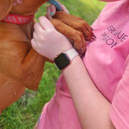 Jenny - Vizsla
