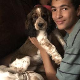English Springer Spaniel Puppies from River’s Edge ~ English Springer Spaniels