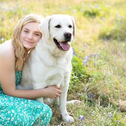 Labrador Retriever All Grown Up from Brady's Birddogs