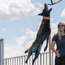 Belgian Malinois and German Shepherds from Légende Vivante Du Chief Kennel
