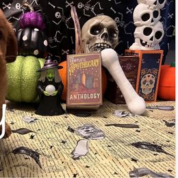 Golden Retriever Puppies from A1 Supreme Kennels