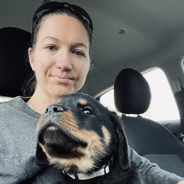 Rottweiler Puppies from Vom Arnold-Hause Rottweilers