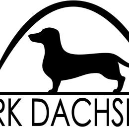 Dachshunds from ARRK Dachshunds
