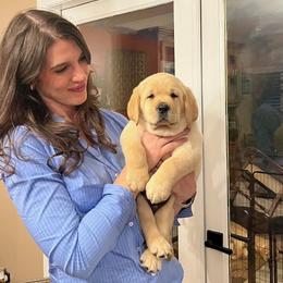 Whisky - Yellow male Labrador Retriever puppy in Fallston, Maryland from Bellvale Labradors
