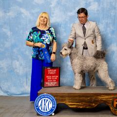 Pumik from Pimasz Kutya Kennel