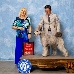 Pumik from Pimasz Kutya Kennel