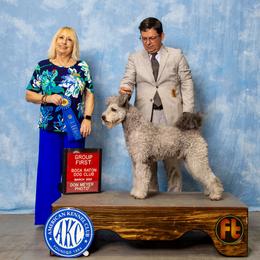 Pumik from Pimasz Kutya Kennel