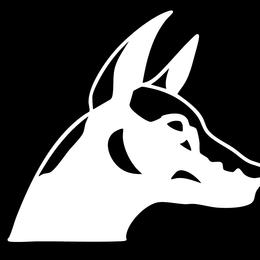 Xoloitzcuintli from Black Magic Xolos
