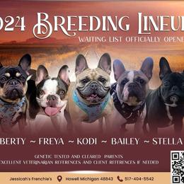 French Bulldog Puppies from Jessicah's Frenchies Michigan's French Bulldog Breeder