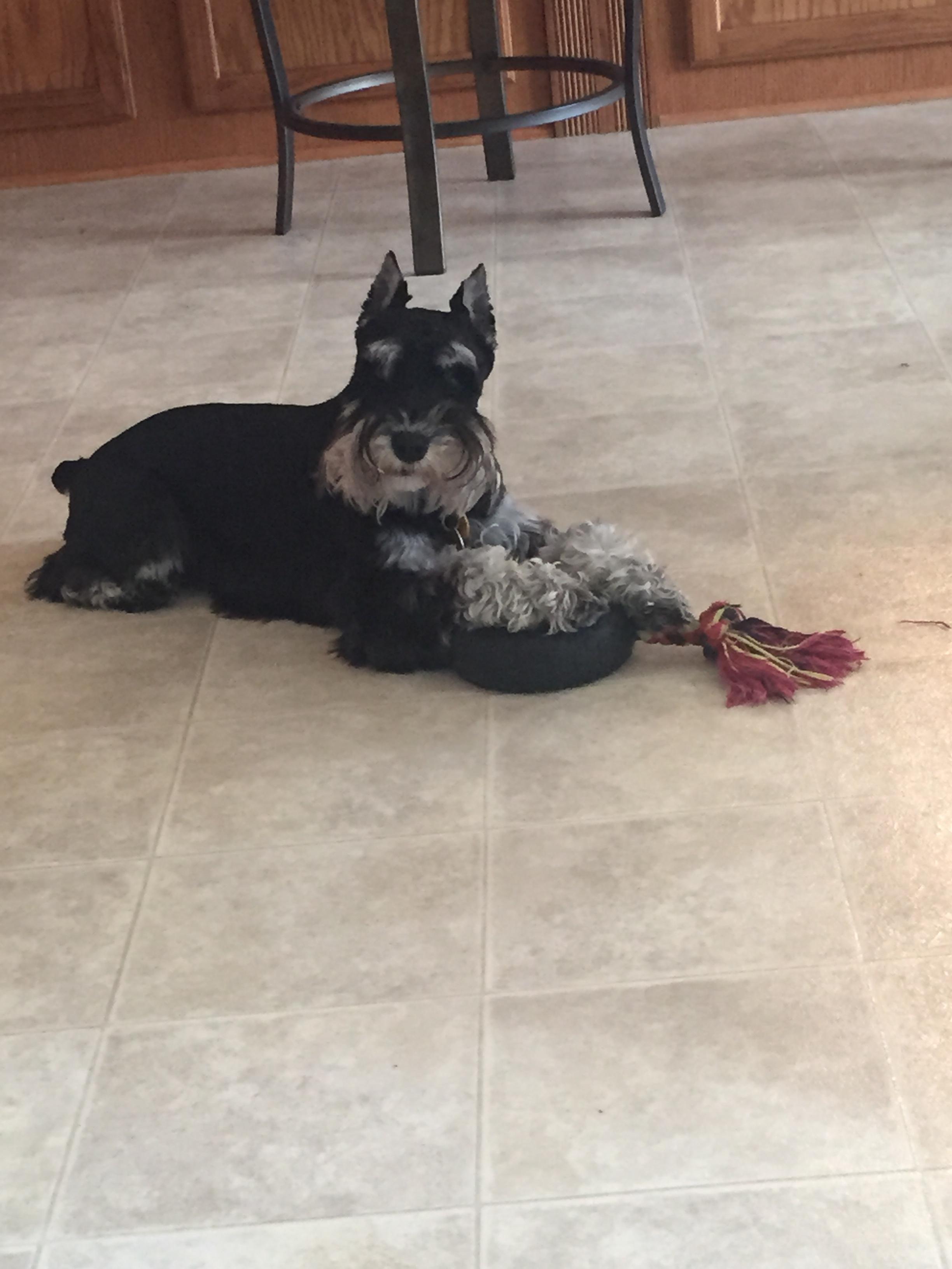 Winston