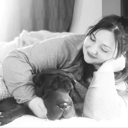 Chinese Shar-Pei All Grown Up from Eihpos Shar-Pei