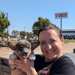 Diana Barry - Gray and white female American Corgi puppy in Paden, Oklahoma from Sunray Ranch