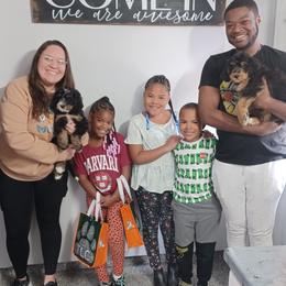 Aussiedoodle, Bernedoodle, Poodle, Shihpoo, and Shih Tzu Puppies from Route 66 Poodles & Doodles, Sapphire Shih-tzu's of Ohio