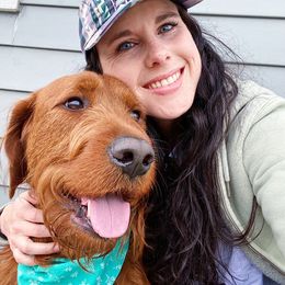 Labradoodle All Grown Up from Jaci Schork's Labradoodles