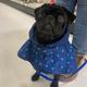Olive’ia Newton Pug