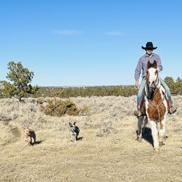 Australian Cattle Dog and French Bulldog Puppies from Sugarloaf French bulldogs and Australian cattle dogs