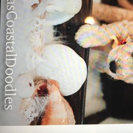 Double Doodle Puppies from Fiona’s Coastal Doodles