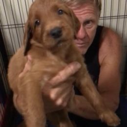 TurquoiseGirl - Mahogany female Irish Setter puppy in Longview, Washington from Royal Redheads Irish Setters