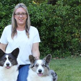 Cardigan Welsh Corgis from Oakcreek