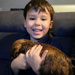 Bernedoodle Puppies from Home Grown Hearts Doodles