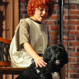 Portuguese Water Dogs from Classea’s PWDs