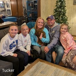 Tucker - Brown male Cockapoo puppy in Sunset, Louisiana from Cano Cockapoos