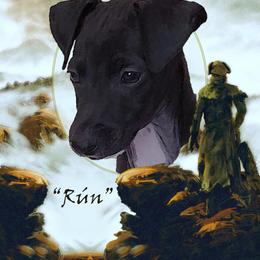 Rún - Italian Greyhound puppy in Virginia from Selah Kennel