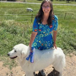 Lucy - Great Pyrenees