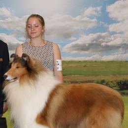 Collies from Tairis Collies