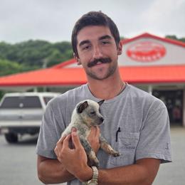 Boy 2 - Blue male Australian Cattle Dog puppy in Monroe, North Carolina from Creek View Cattle Dogs
