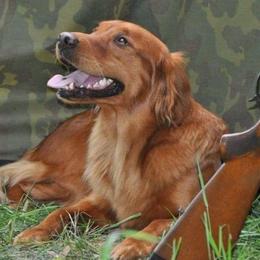 Golden Retrievers from Granite Rock Retrievers